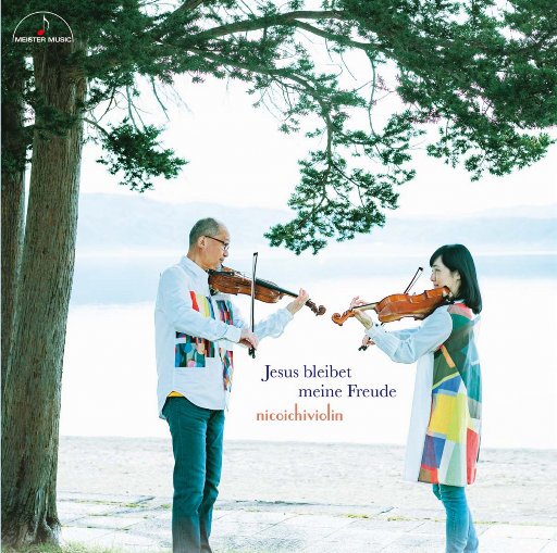 新垣结衣主演电影免费观看
