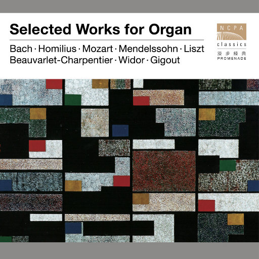 新垣结衣主演电影免费观看
